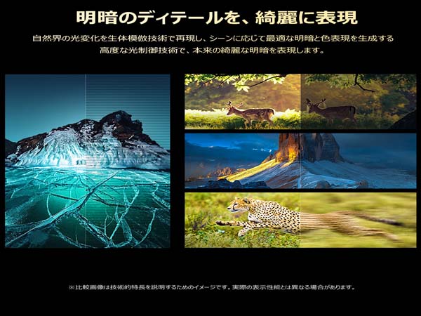明暗のディテールを、綺麗に表現