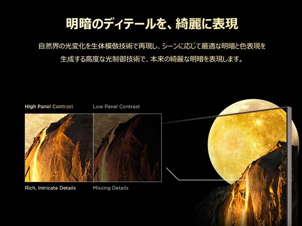 明暗のディテールを、綺麗に表現