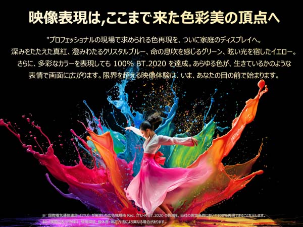 全画面 100％BT.2020