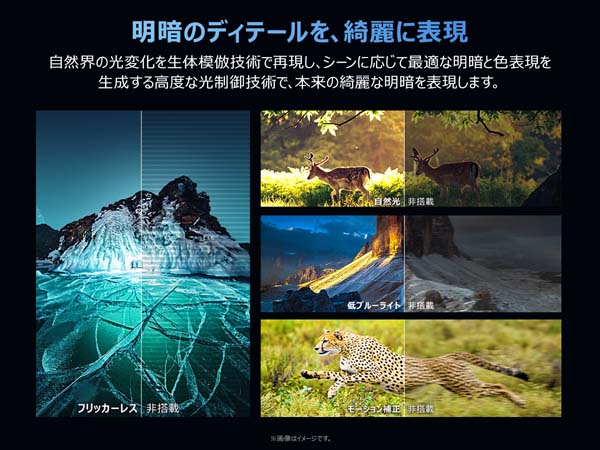 明暗のディテールを、綺麗に表現