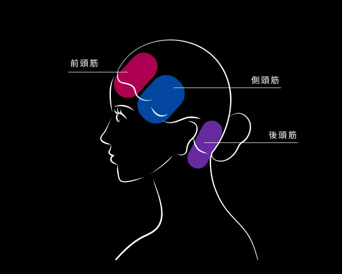 顔のもたつきは頭皮から、顔と頭は同じ1枚の皮膚で繋がっている