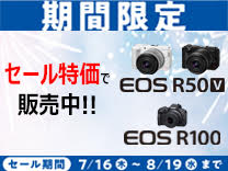 キヤノン EOSR100WZK デジタル一眼カメラ・ダブルズームキット EOS