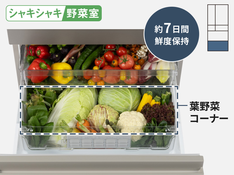 シャキシャキ野菜室