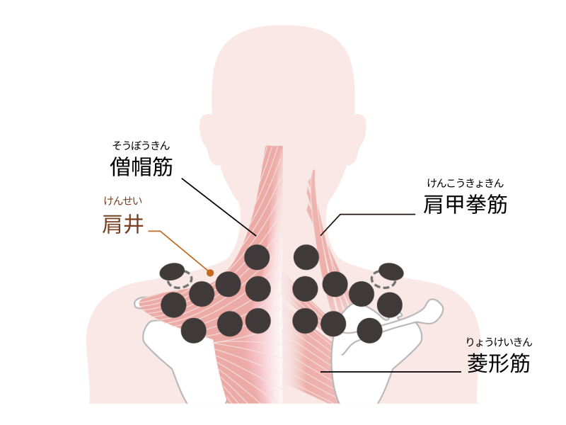 肩コリのツボ「肩井（けんせい）」までカバー