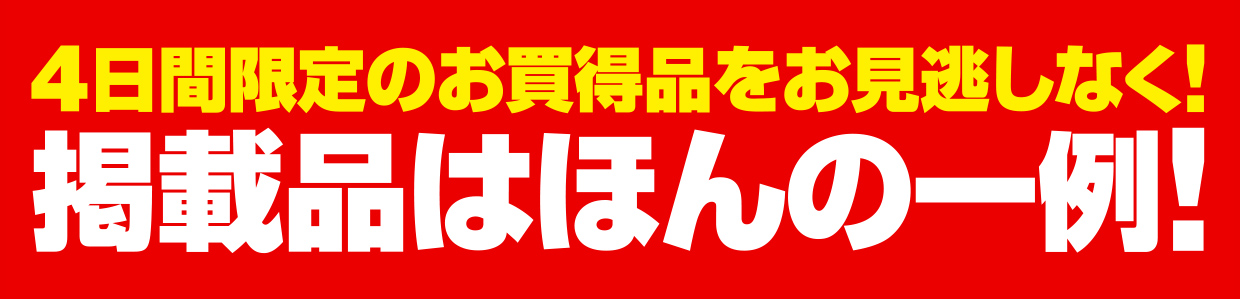 4日間限定のお買得品をお見逃しなく!掲載品はほんの一例!