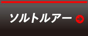 ソルトルアー