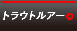 トラウトルアー