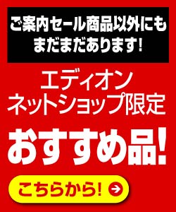 ネットショップ限定おすすめ品