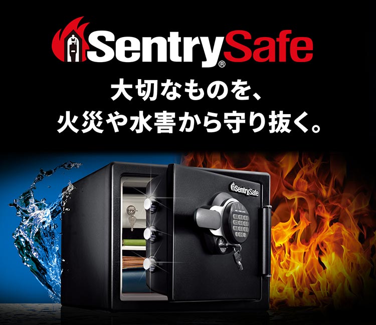 Sentry Safe