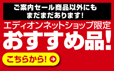 ネットショップ限定おすすめ品