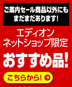 ネットショップ限定おすすめ品