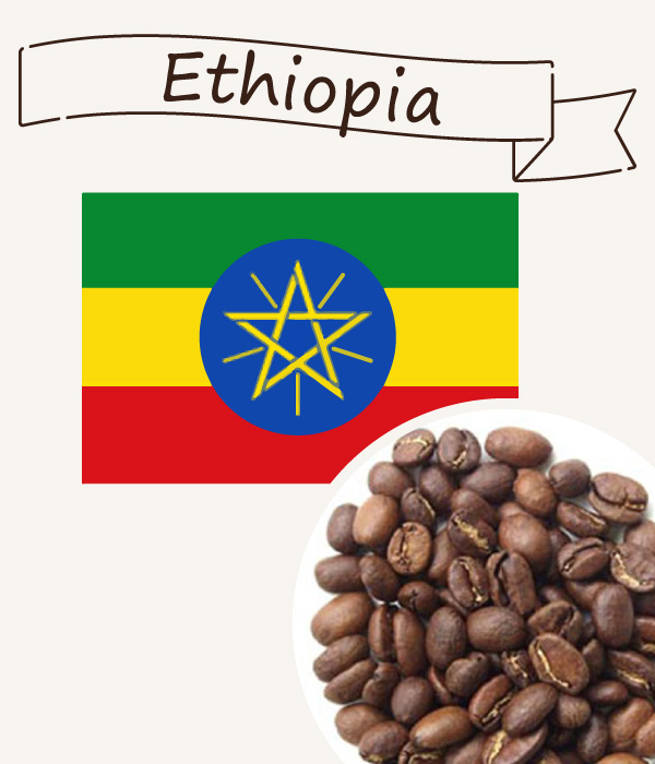 エチオピア イルガチェフェ