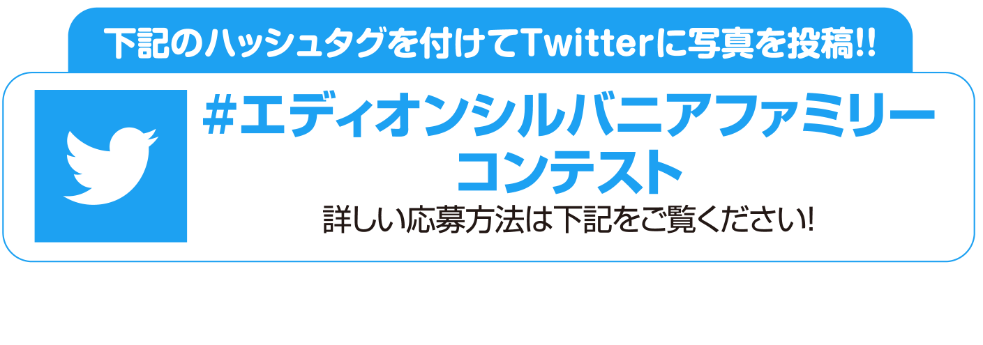 ハッシュタグを付けてTwitterに写真を投稿!! #エディオンシルバニアファミリーコンテスト