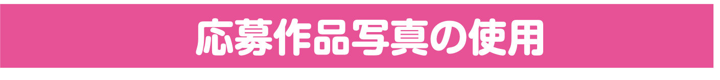 応募作品写真の使用