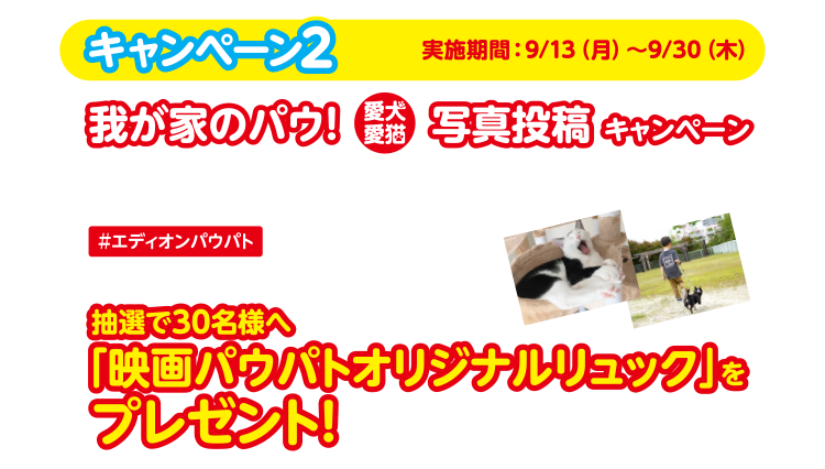キャンペーン２