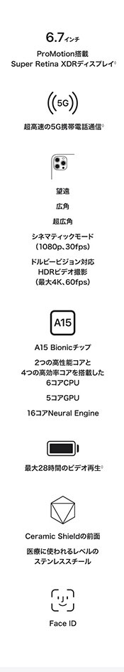 iPhone 13 Pro Max
