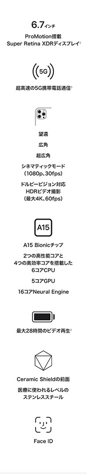 iPhone 13 Pro Max