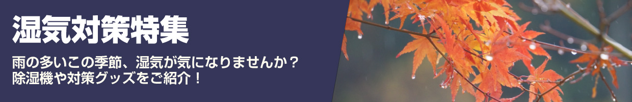 湿気対策特集