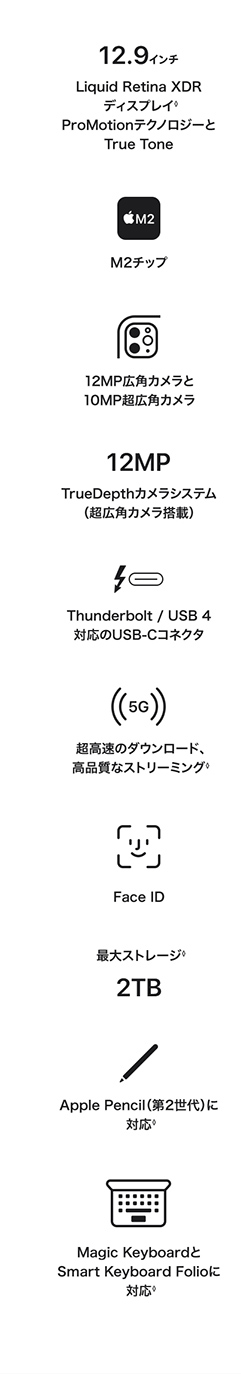 iPad Pro  12.9インチ