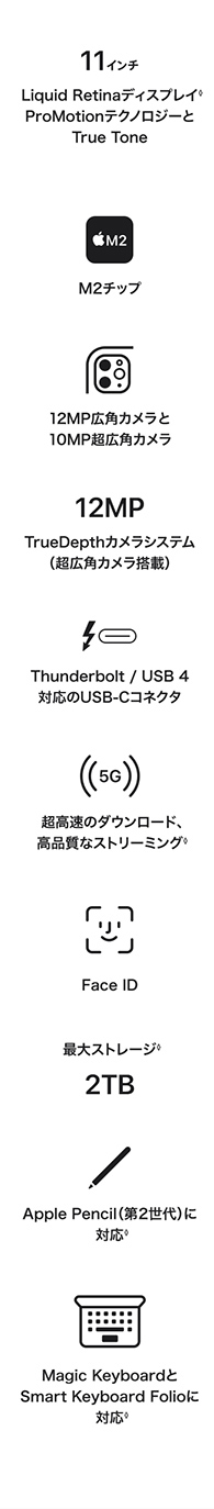 iPad Pro 11インチ