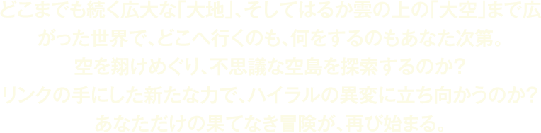 どこまでも続く広大な「大地」、そしてはるか雲の上の「大空」まで広がった世界で、どこへ行くのも、何をするのもあなた次第。空を翔けめぐり、不思議な空島を探索するのか? リンクの手にした新たな力で、ハイラルの異変に立ち向かうのか? あなただけの果てなき冒険が、再び始まる。