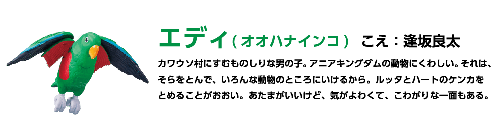 エディ (オオハナインコ) こえ:逢坂良太 カワウソ村にすむものしりな男の子。アニアキングダムの動物にくわしい。 それは、そらをとんで、いろんな動物のところにいけるから。ルッタとハートのケンカをとめることがおおい。あたまがいいけど、気がよわくて こわがりな一面もある。