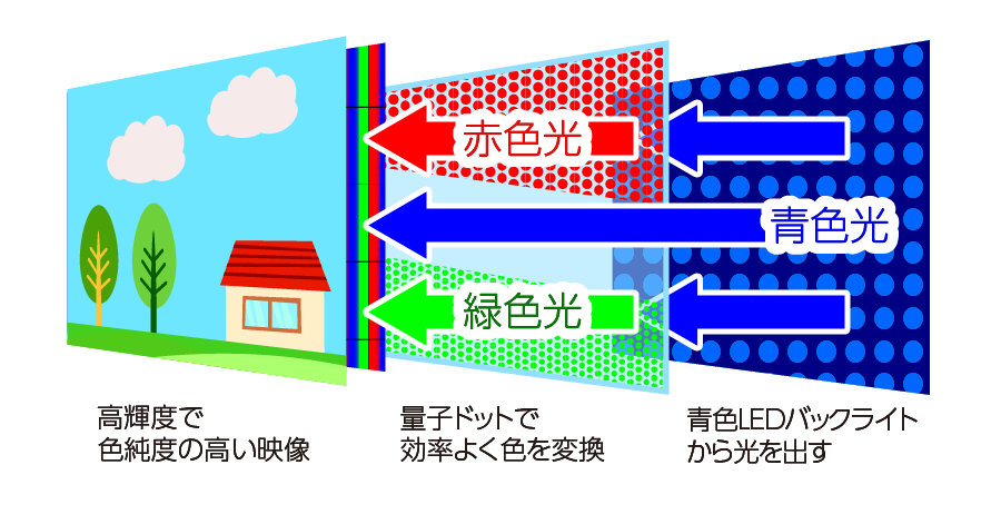 量子ドット技術を搭載した液晶テレビの仕組み図。青色LEDバックライトと液晶パネルとの間に「量子ドット素材」を挟んだ構造になっています。効率のよい色変換と純度の高い色再現を同時に実現できます。