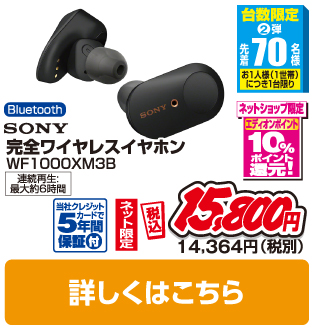 SONY 完全ワイヤレスイヤホン