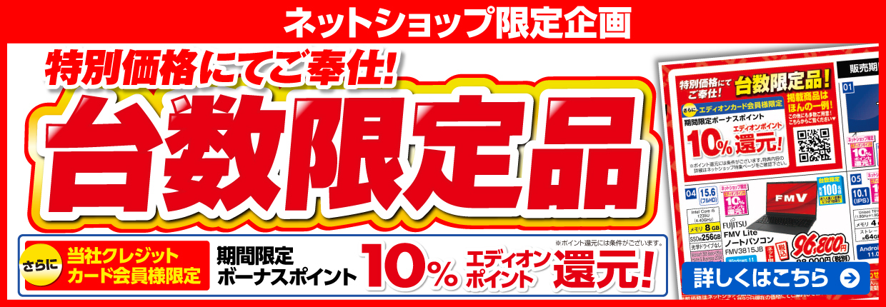 ネットショップ限定企画 特別価格にてご奉仕！台数限定品