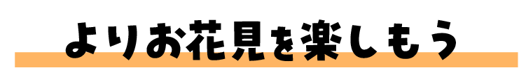 よりお花見を楽しもう！