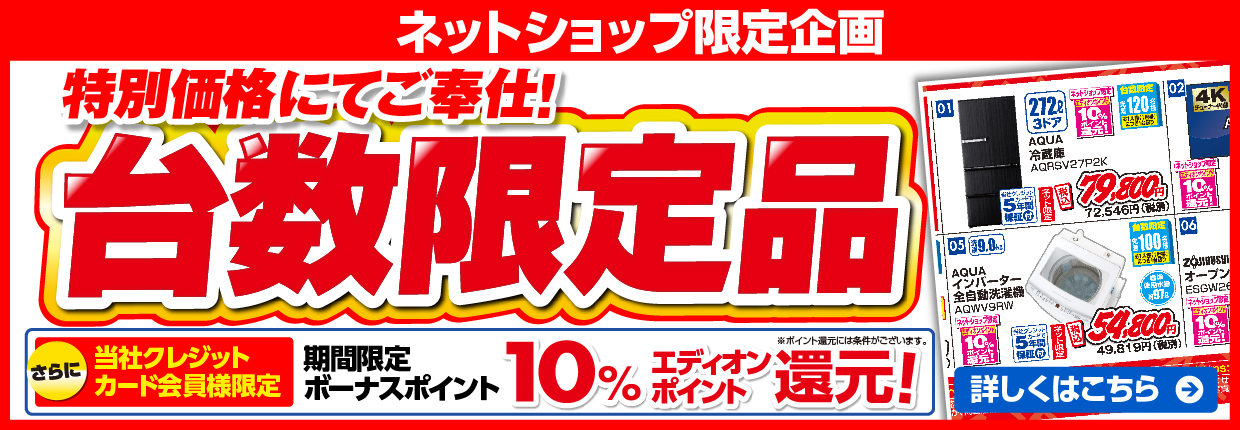 ネットショップ限定企画 特別価格にてご奉仕！台数限定品