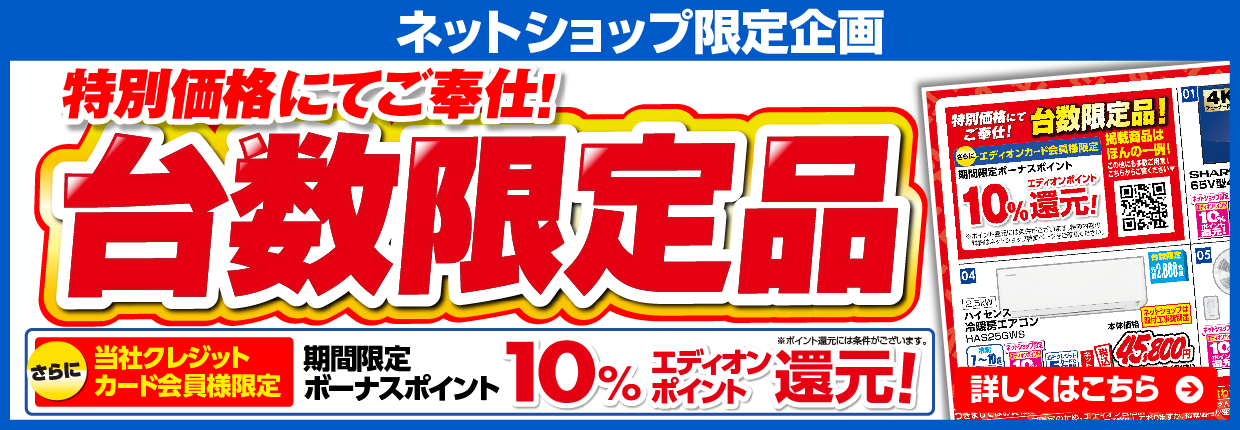 ネットショップ限定企画 特別価格にてご奉仕！台数限定品