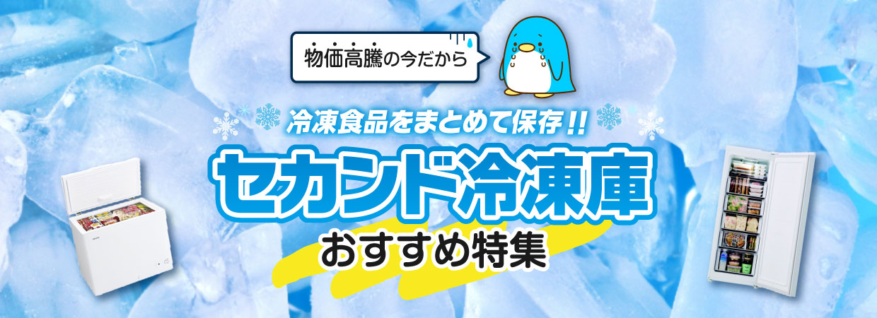 物価高騰対策！冷凍食品まとめ買い派におすすめの冷凍庫特集