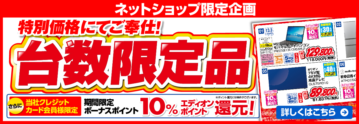 ネットショップ限定企画 特別価格にてご奉仕！台数限定品