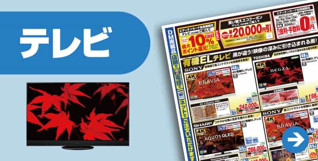テレビ