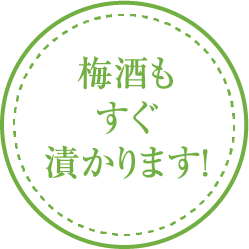 梅酒もすぐ漬かります！