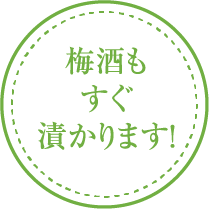 梅酒もすぐ漬かります！
