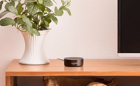 話しかけるほど、進化する