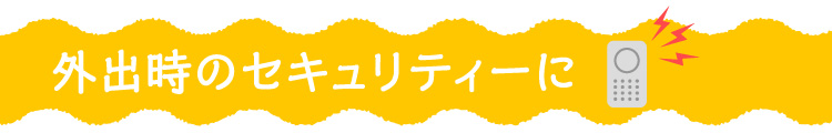 外出時のセキュリティーに