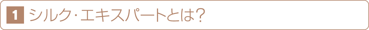 シルク・エキスパートとは？