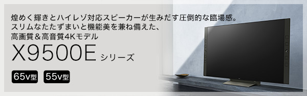 X9500Eシリーズ