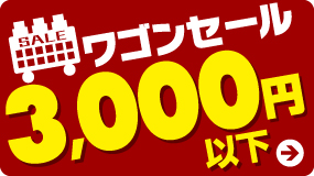 ワゴンセール3000円以下