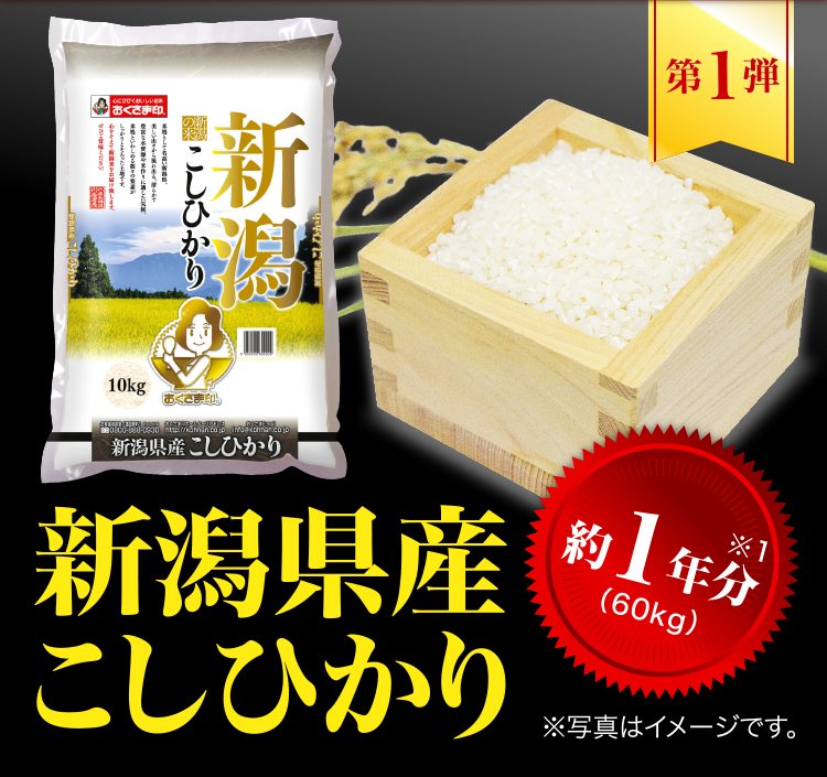 新潟県産コシヒカリ約1年分（60kg）