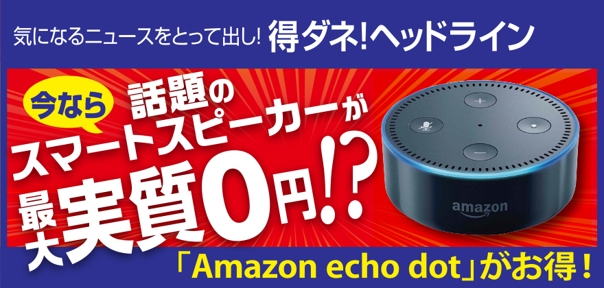 今なら話題のスマートスピーカーが最大実質0円！？