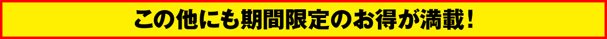 この他にもおすすめ品満載！