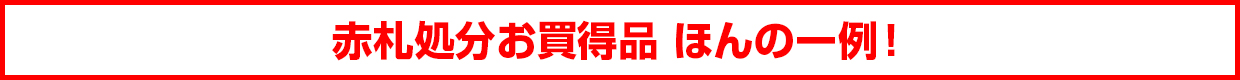 赤札処分お買得品 ほんの一例!