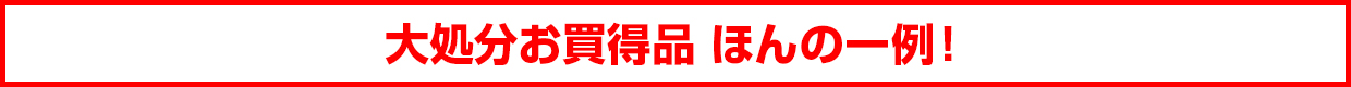 大処分お買得品　ほんの一例！