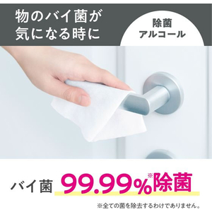 クレシア スコッティ ウェットティシュー 除菌 アルコール 100枚 詰替用 3個 FC681TH-77137-イメージ2