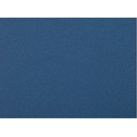 大王製紙 FC214YN 再生色画用紙 8ツ切 10枚 ぶどう |エディオン