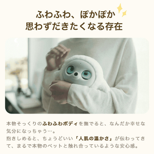 lopeto AI robot MY-RTPT01-イメージ5